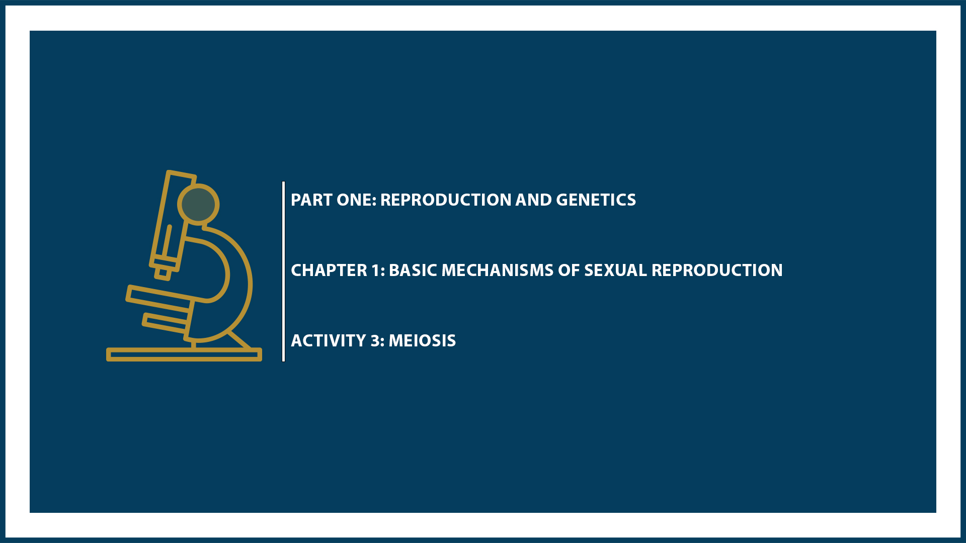 Unit One: Chapter 1 - Document 3: Meiosis